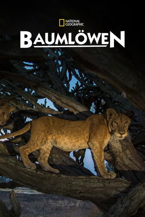 Baumlöwen