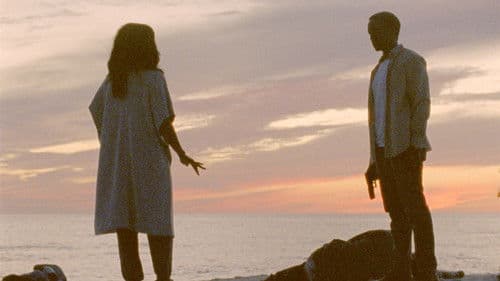 Dark My Light Bild 1