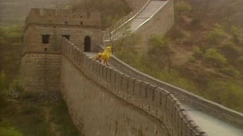 Big Bird in China Bild 1