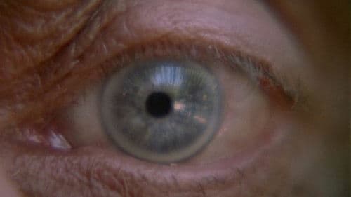 Kommen und Gehen Bild 5