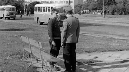 Zwyczajny kraj Bild 6