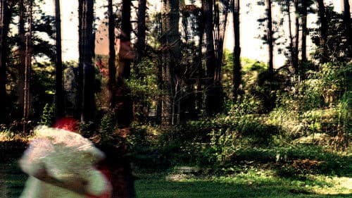 Lembrar de Mim Bild 1