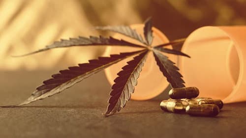 Cannabis: Prescription Pot Luck? Bild 1
