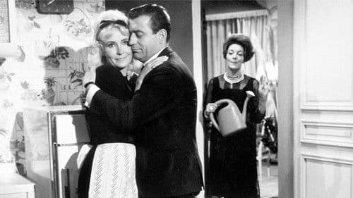 Fünf Glückspilze Bild 6