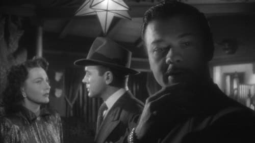 The Amazing Mr. X Bild 6