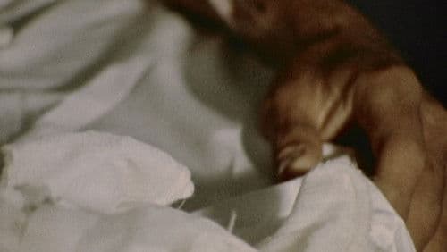 The Act of Seeing with One's Own Eyes Bild 4