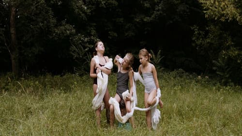 Wald der Echos Bild 2