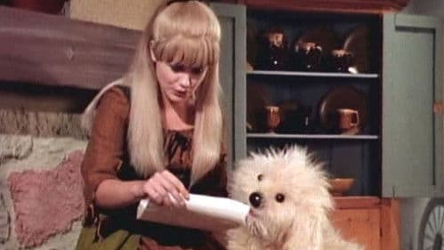 Hey Cinderella! Bild 1