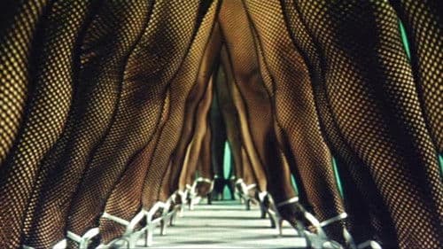 足にさわった女 Bild 1