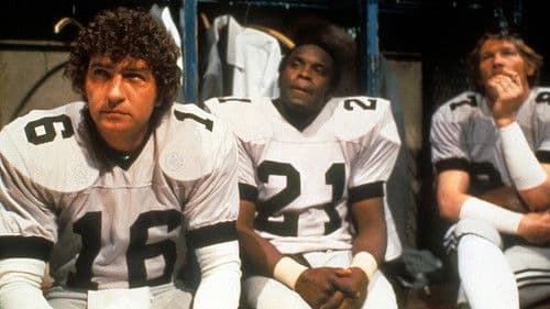 Die Bullen von Dallas Bild 1