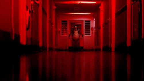 Scary Stories to Tell in the Dark Bild 6