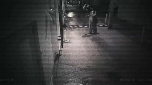 Gags the Clown Bild 7