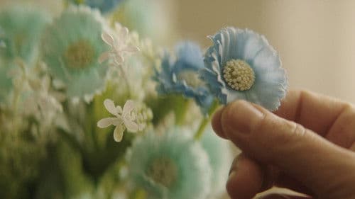 Papaveri e Papere Bild 1