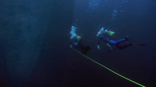 海猿 ウミザル Bild 1