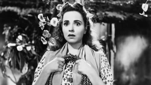 La barra mendocina Bild 2