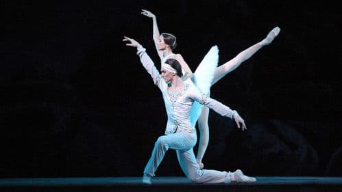 Bolshoi Ballet: La Bayadère Bild 2