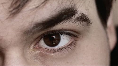 Reminiscence: A Life Through the Lens Bild 5