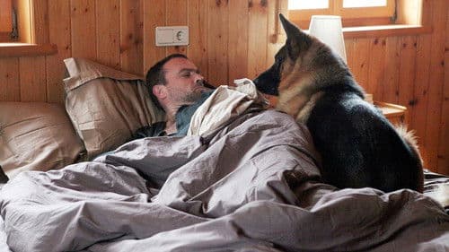 Kommissar Rex - Eiszeit Bild 1