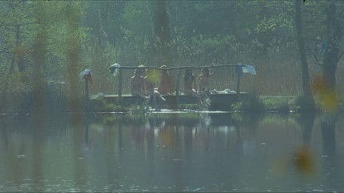 Sechs Schwedinnen auf der Alm Bild 7