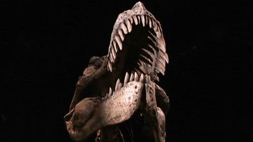 Der Schatz der Dinosaurier Bild 4