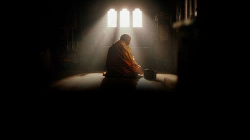 Was will der Lama mit dem Gewehr? Bild 1