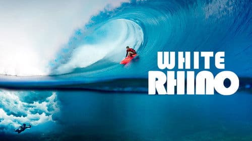 White Rhino Bild 3