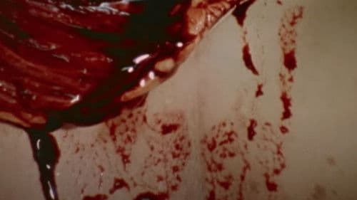 The Act of Seeing with One's Own Eyes Bild 3