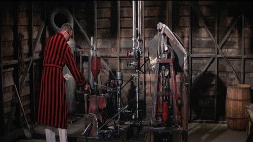 Mr. Hobbs macht Ferien Bild 6