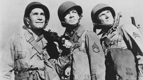 Landung in Salerno Bild 6