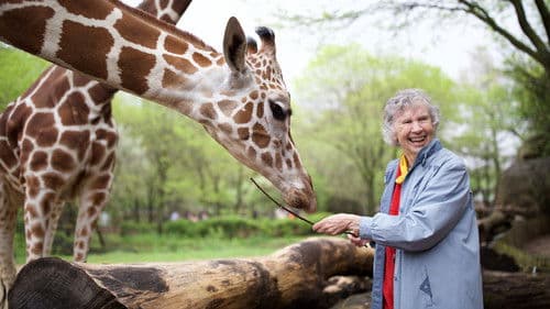 The Woman Who Loves Giraffes Bild 1