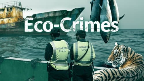 Eco-Crimes Bild 1