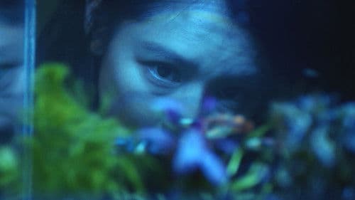 The Tag Along Devil Fish Bild 2