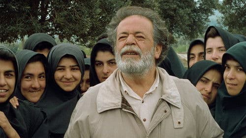 Quer durch den Olivenhain Bild 6