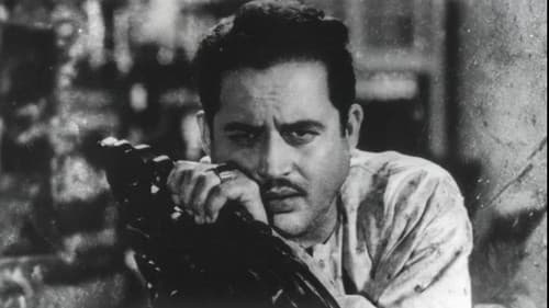 चौदहवीं का चाँद Bild 3