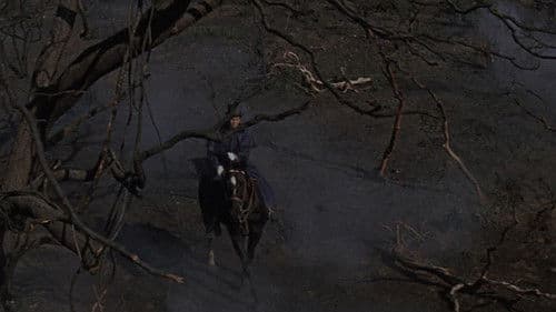 Die Verfluchten Bild 5