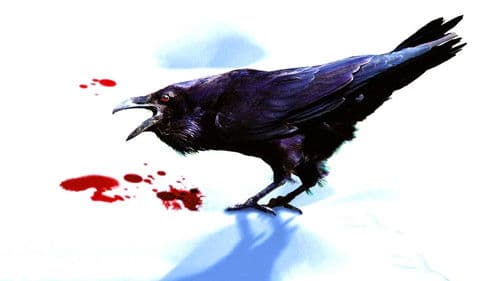 Ein einfacher Plan Bild 7