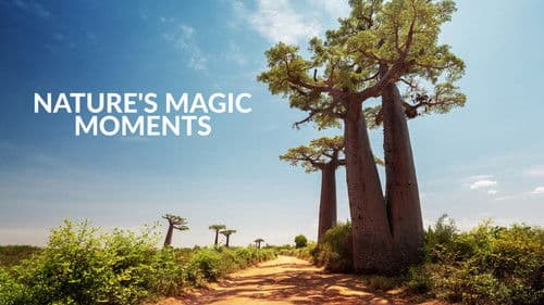 Magische Momente der Natur Bild 2