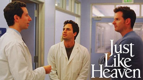 Solange du da bist Bild 7