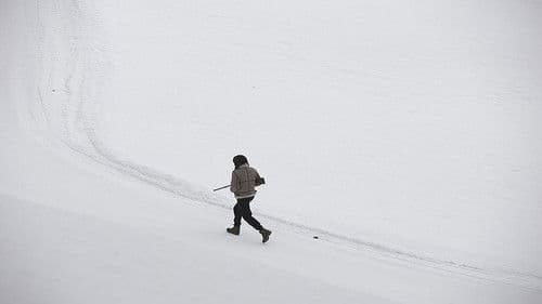 Let Her Kill You Bild 4