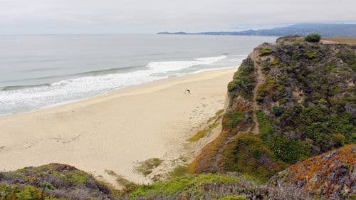 European Man...American Beach Bild 2