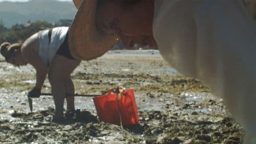 Tatuado nos ollos levamos o pouso Bild 6