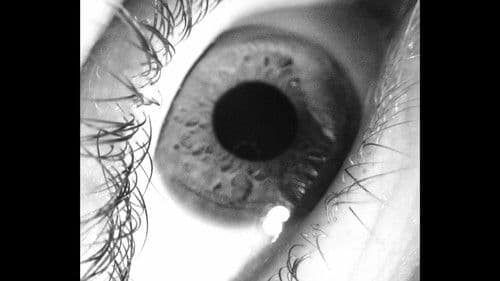 Christmas Past Bild 2