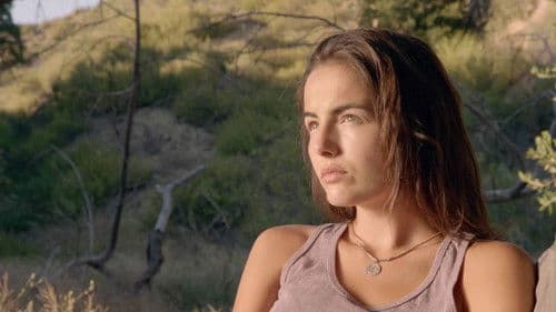 Open Road - Wohin wird der Weg sie führen? Bild 2