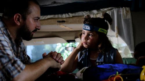 Hauptsache Bären! Bild 2