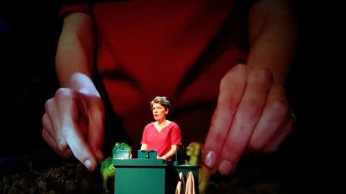 Paulien Cornelisse: Aanstalten Bild 1