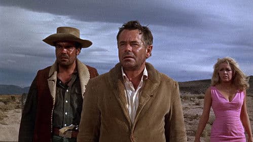 In 48 Stunden Bild 1