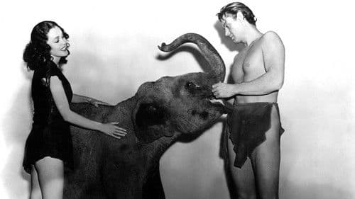 Tarzan und sein Sohn Bild 6