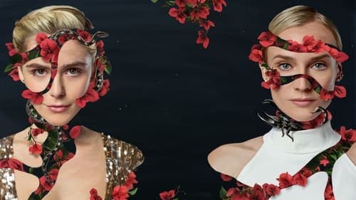 Swimming with Sharks Bild 1