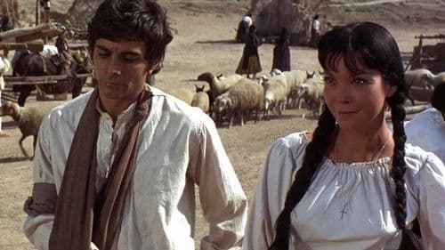 Die Rückkehr der glorreichen Sieben Bild 5