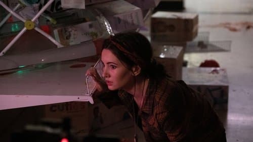 Black Friday - Überlebenschance stark reduziert! Bild 4